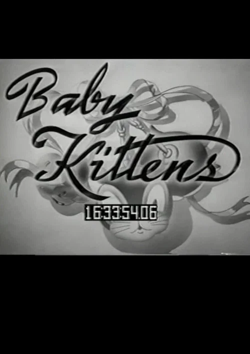 Baby Kittens постер