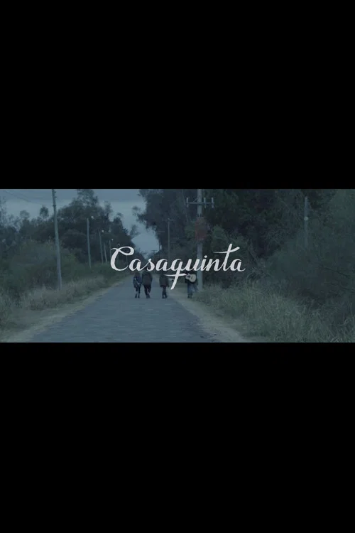 Casaquinta постер
