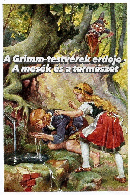 Im Märchenwald der Gebrüder Grimm постер