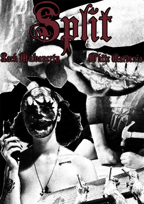 Split постер