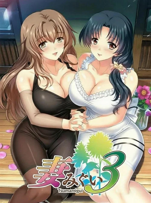 妻みぐい3 постер