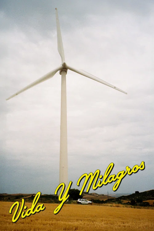 Vida y milagros постер