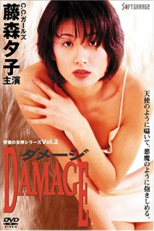 背徳の女神シリーズ２ ダメージ постер