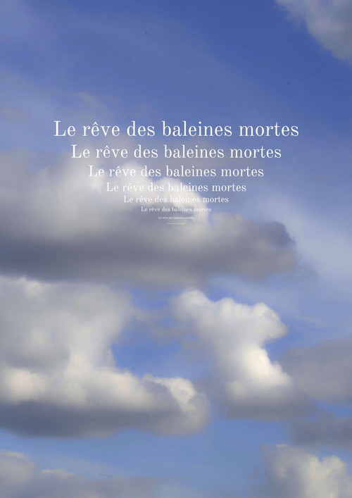 Le rêve des baleines mortes постер