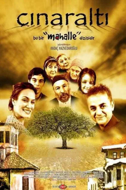 Çınaraltı постер