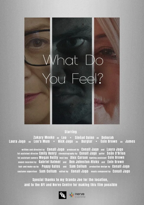 What Do You Feel? постер