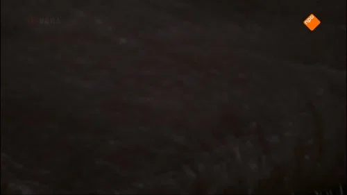 Эпизод 5