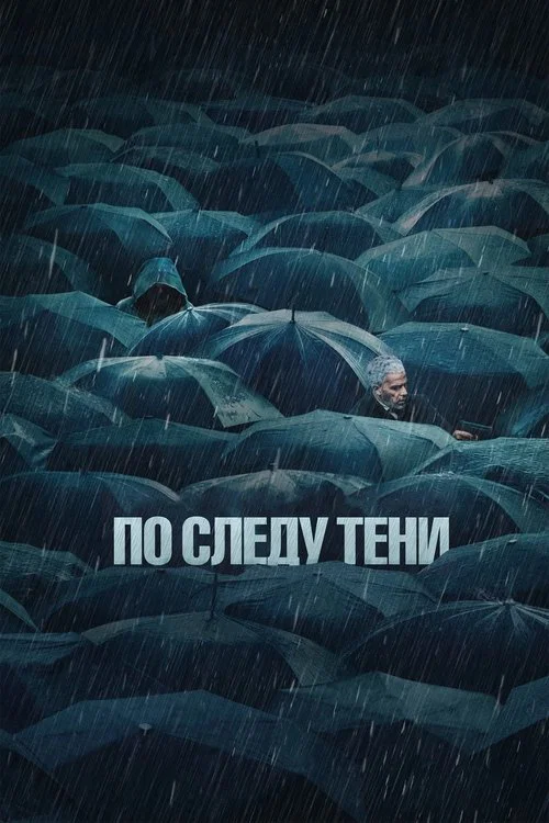 По следу тени постер