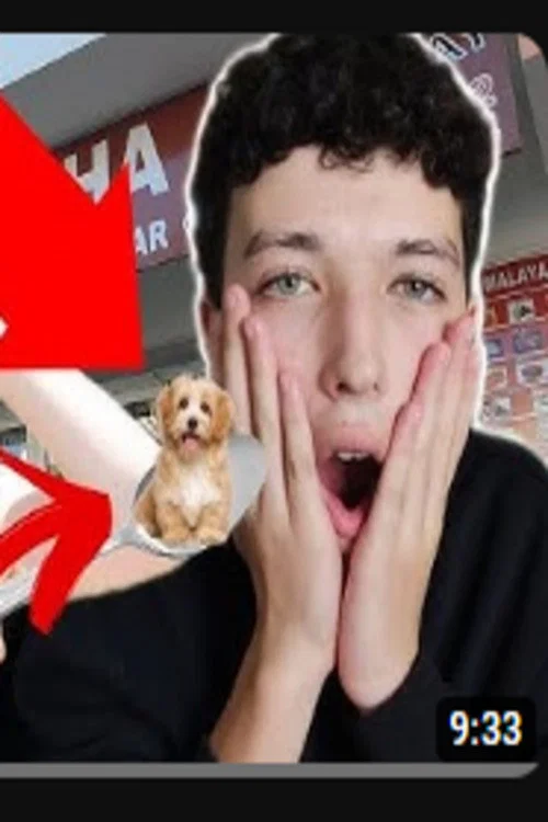 Comi uma chinesa постер