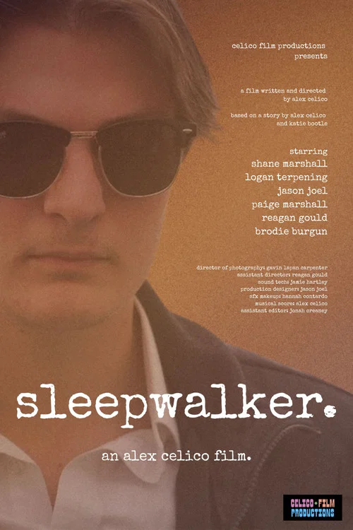 Sleepwalker постер
