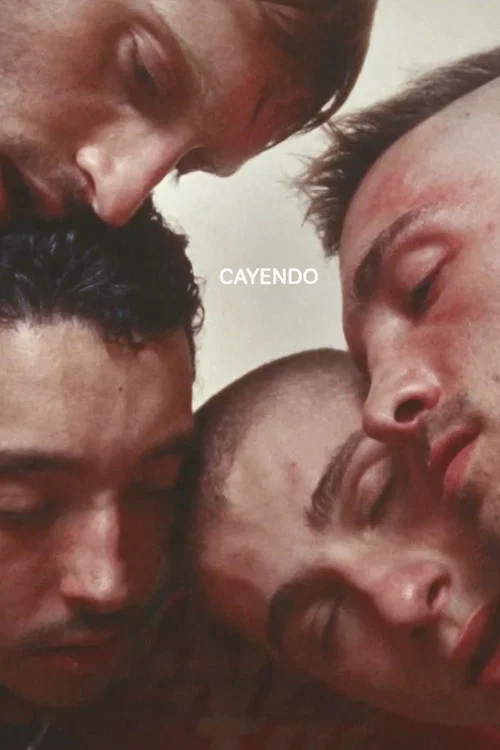 Cayendo постер
