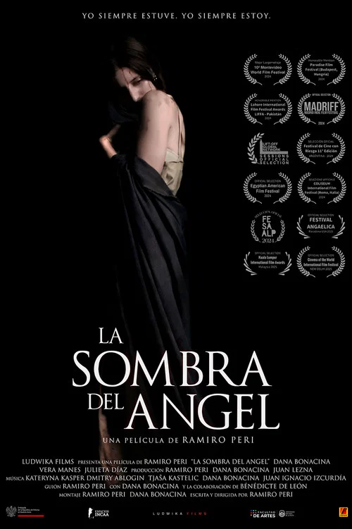 La sombra del ángel постер