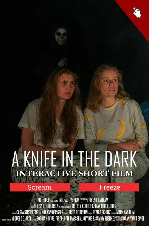 A Knife in the Dark постер