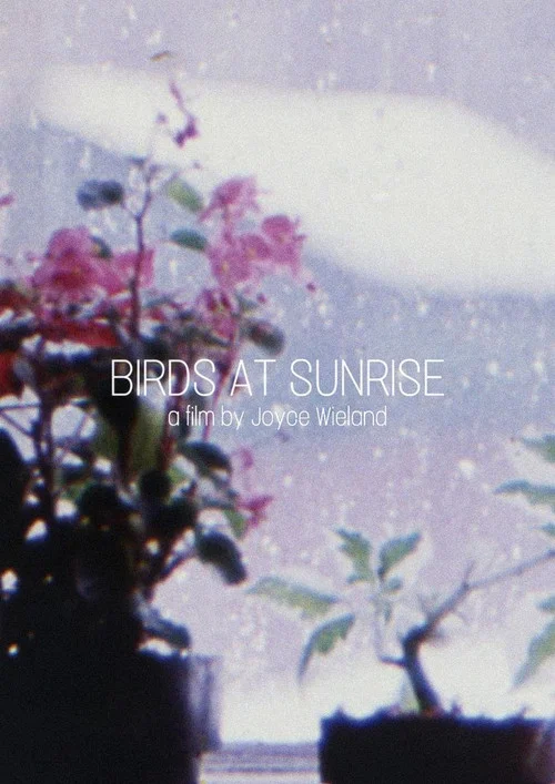 Birds at Sunrise постер