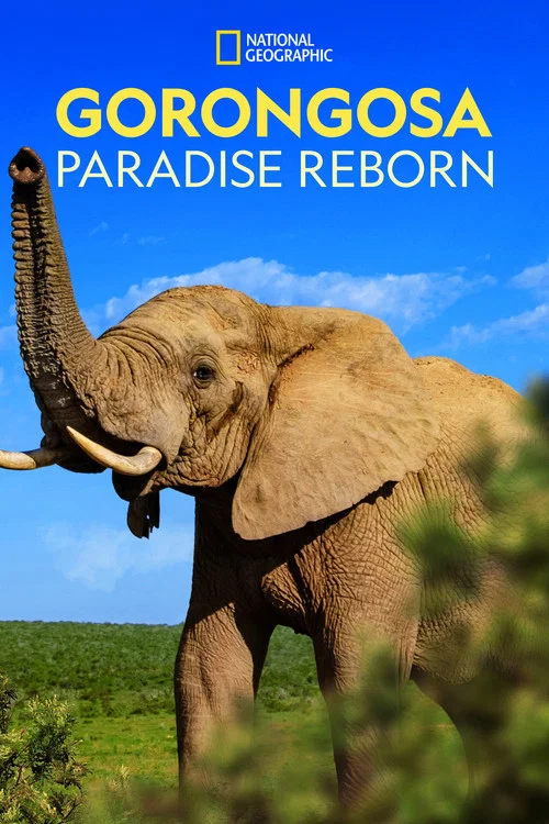Gorongosa: Paradise Reborn постер