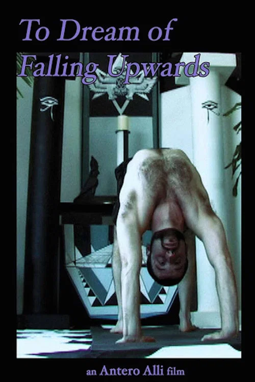 To Dream of Falling Upwards постер
