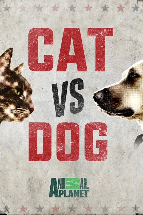 Cat vs. Dog постер