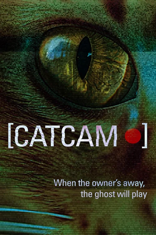 Cat Cam постер