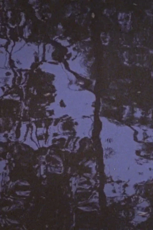 Trees in the River, Kent OH постер
