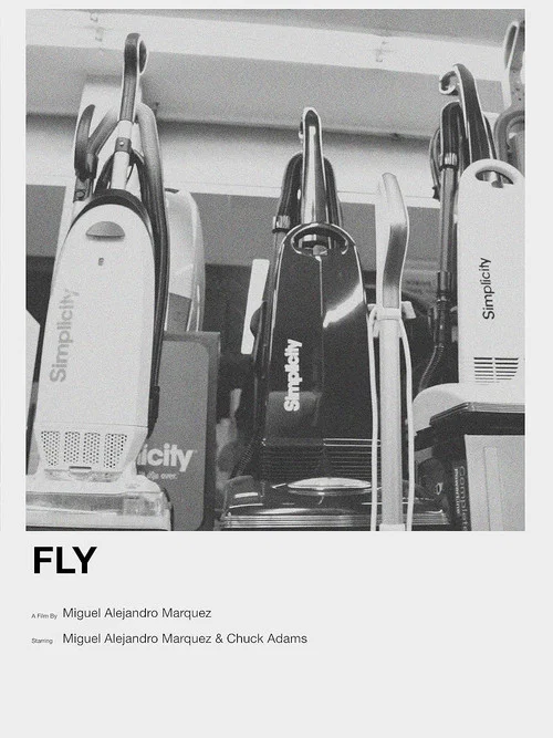 Fly постер