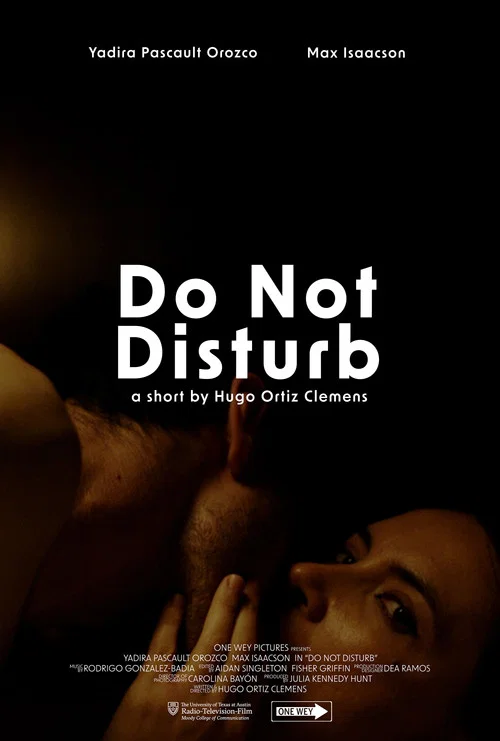 Do Not Disturb постер