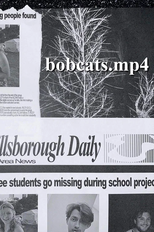 bobcats.mp4 постер
