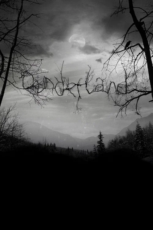 Dunderland постер