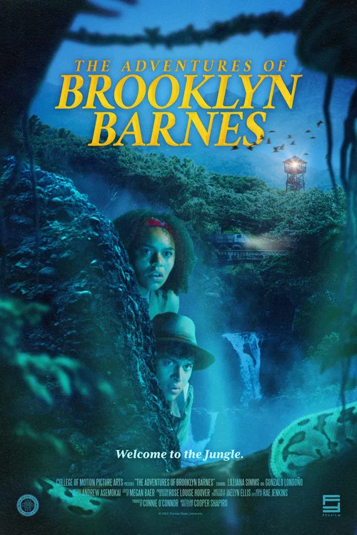 The Adventures of Brooklyn Barnes постер