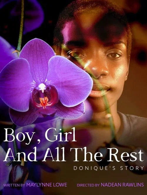 Boy, Girl and All the Rest постер