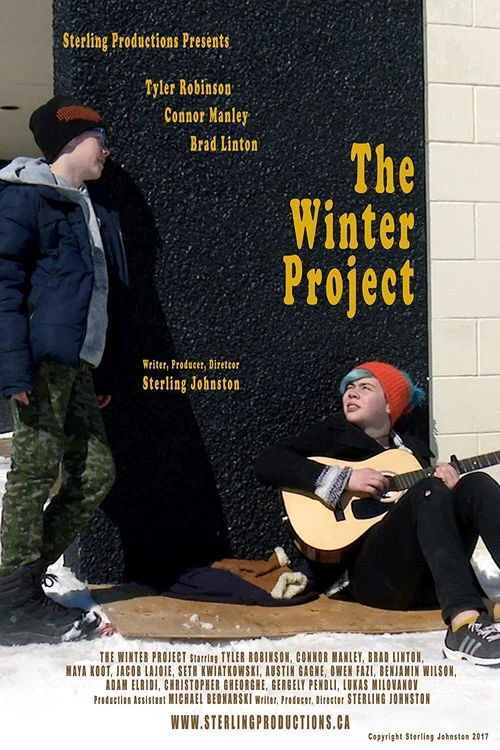 The Winter Project постер