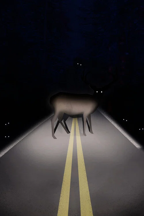 Roadkill постер