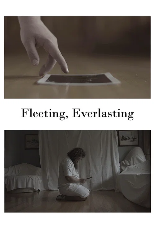 Fleeting, Everlasting постер