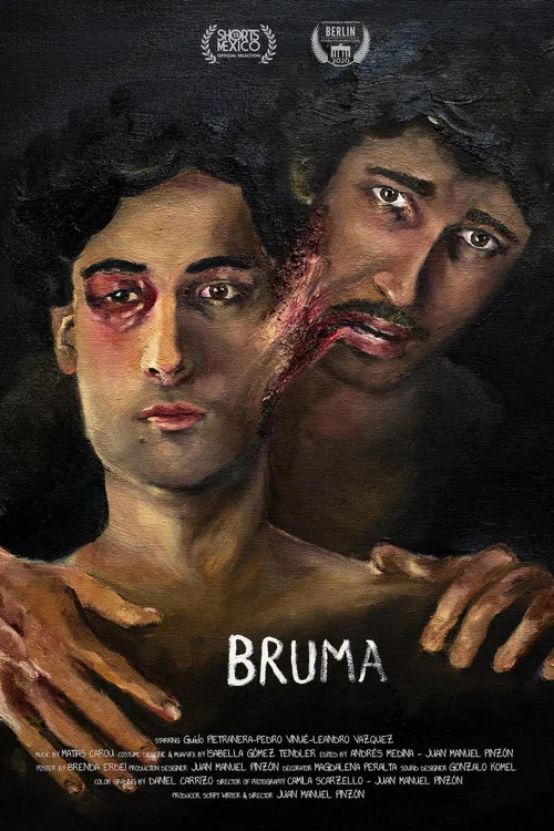 Bruma постер