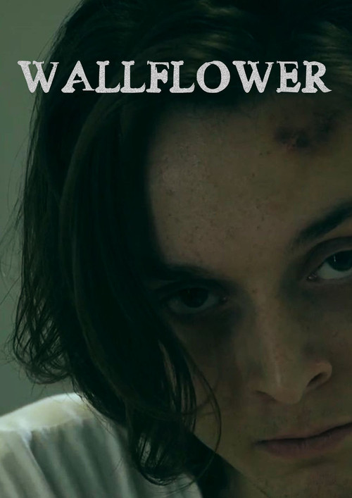 Wallflower постер