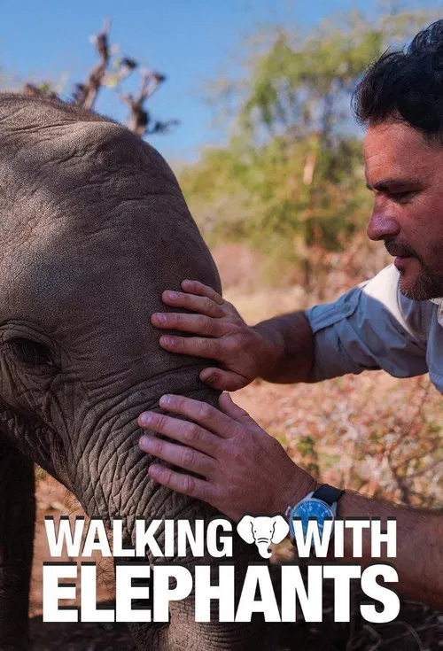 Walking with Elephants постер