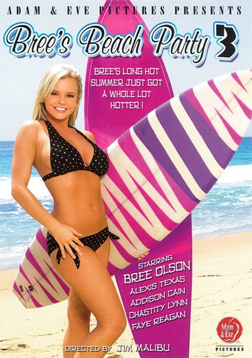Bree's Beach Party 3 постер