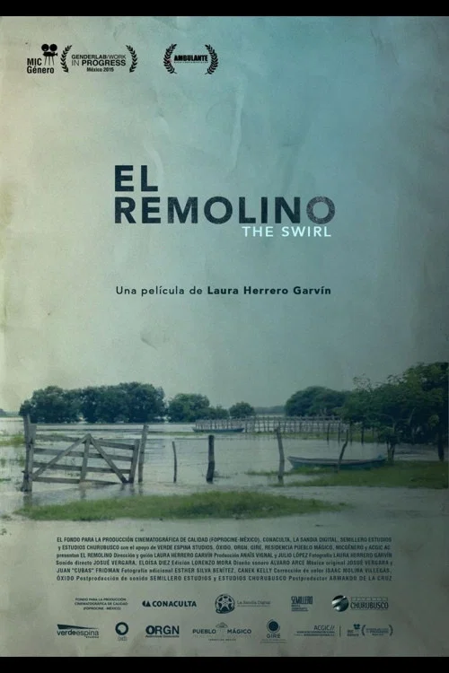 El Remolino постер