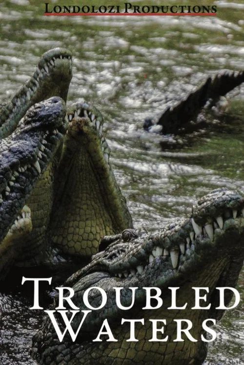 Troubled Waters постер