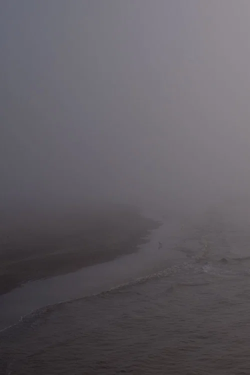 Niebla постер