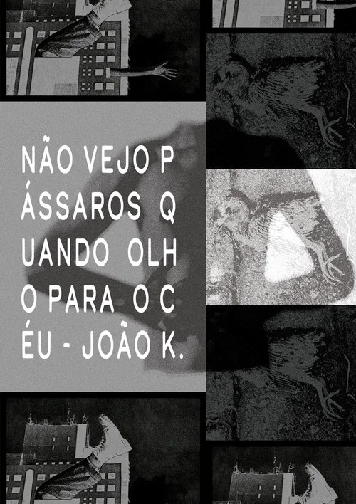 Não vejo pássaros quando olho para o céu постер