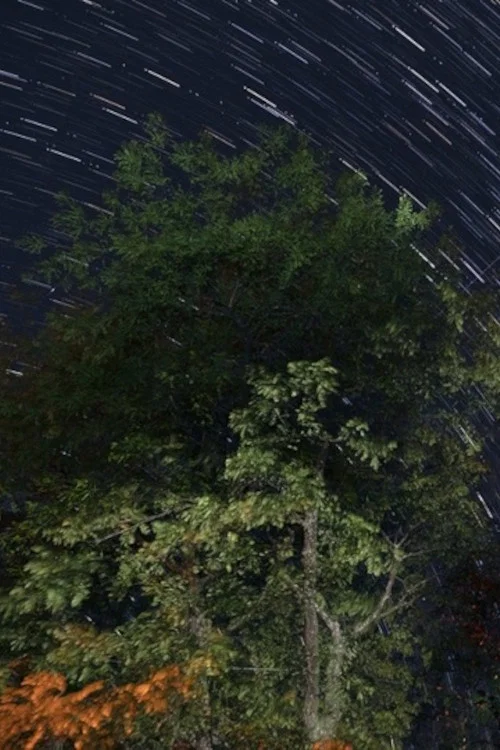 The Summer Triangle постер