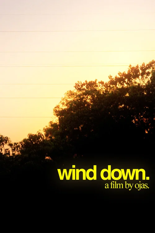 WIND DOWN. постер