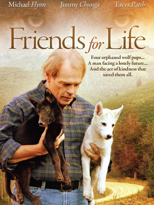 Friends for Life постер