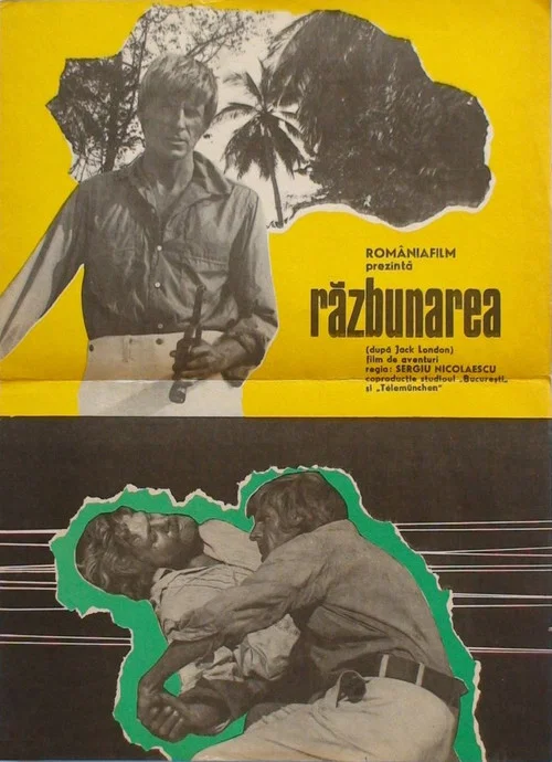 Razbunarea постер