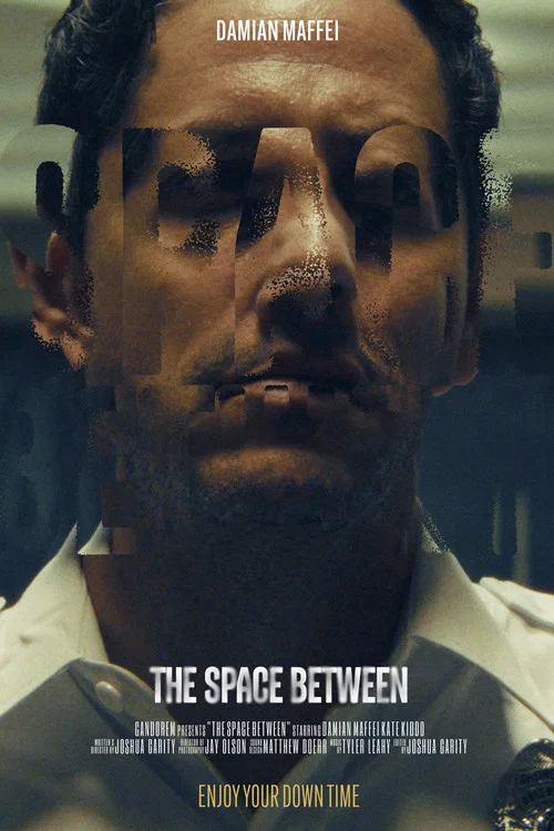 The Space Between постер