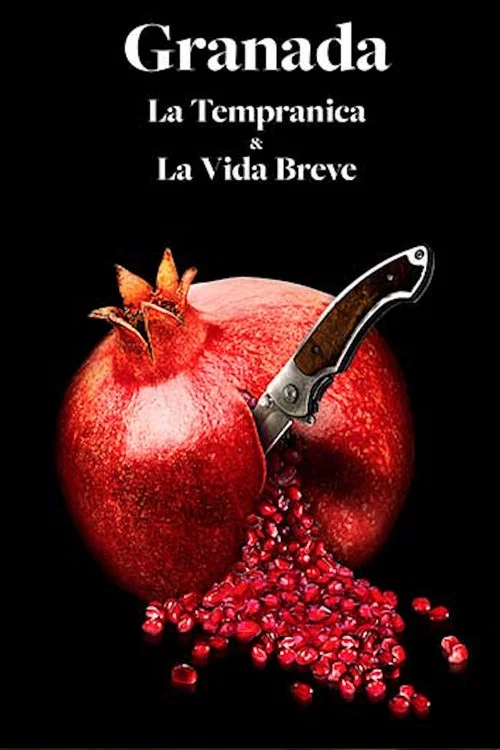 La vida breve постер