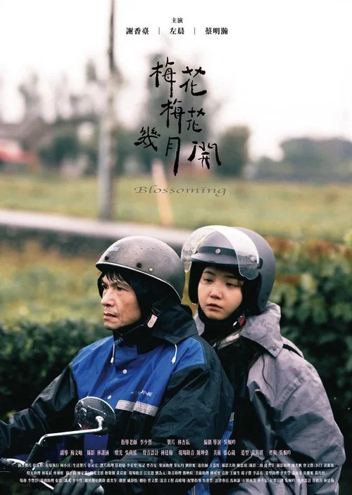 梅花梅花幾月開 постер