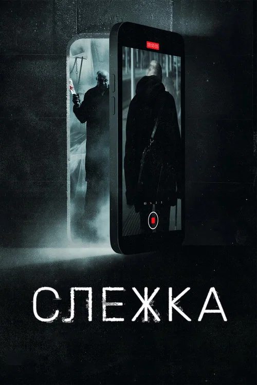 Слежка постер