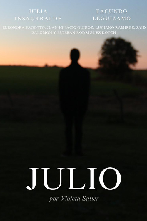 Julio постер