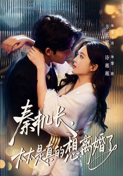 秦机长，太太是真的想离婚了 постер